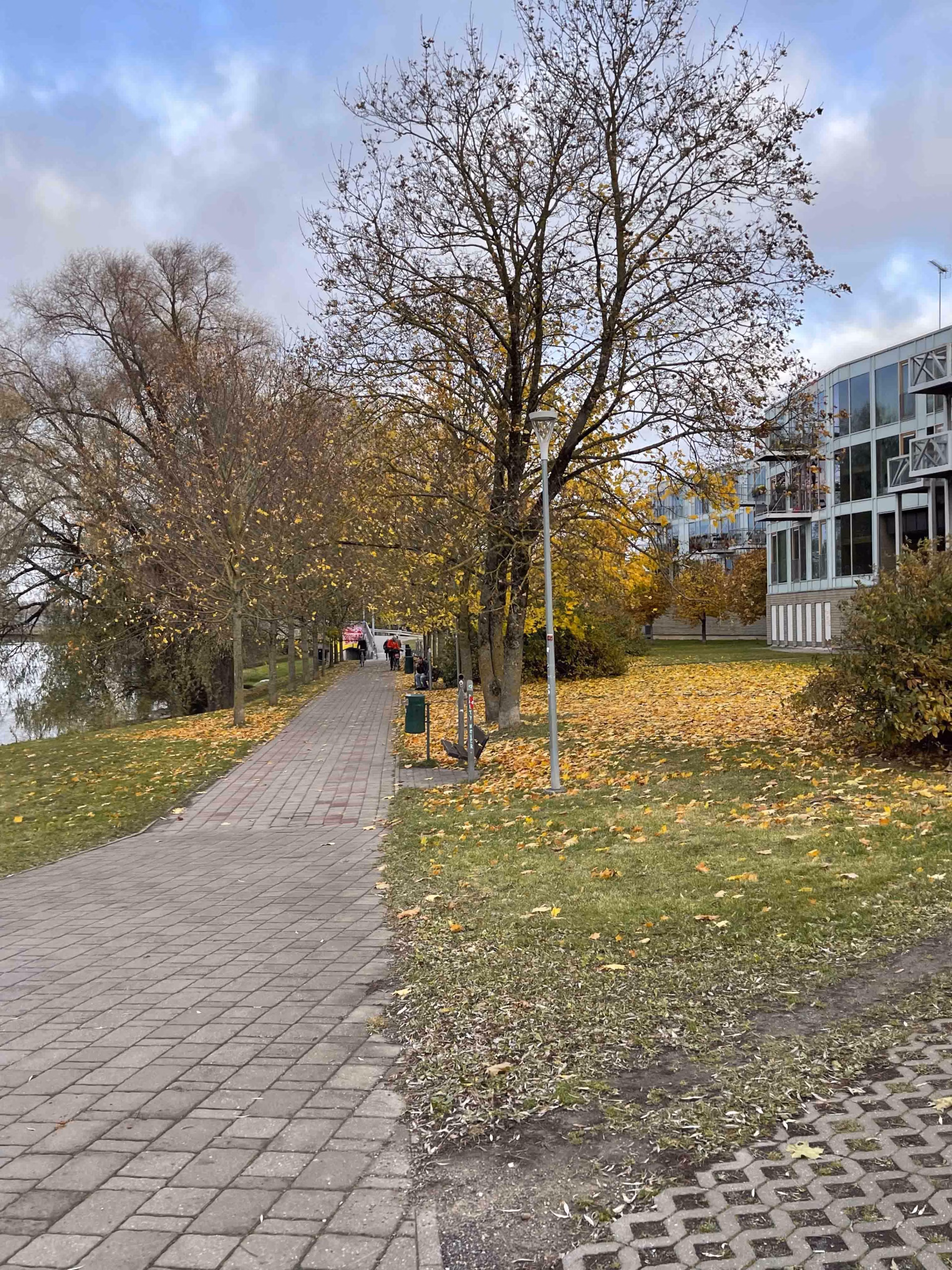 Emajõe-äärne sügisene maastik oktoobris Emajõe-äärne sügisene maastik oktoobris, pidlsitas Mailis Vahenurm.